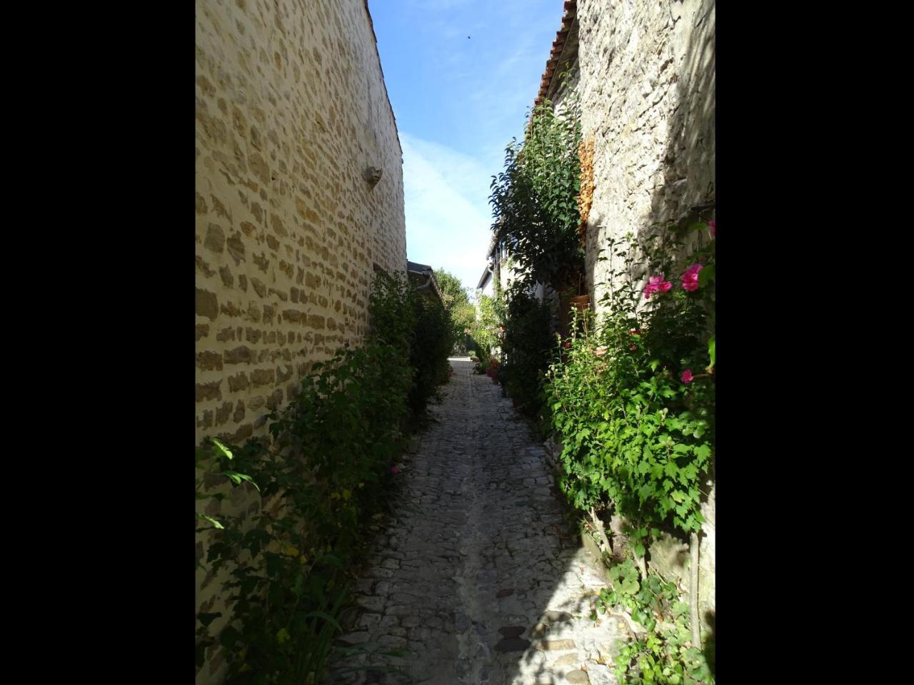 Maison Salicorne La Flotte Εξωτερικό φωτογραφία