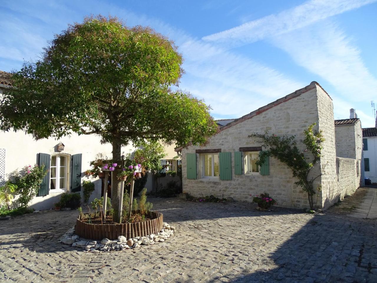 Maison Salicorne La Flotte Εξωτερικό φωτογραφία